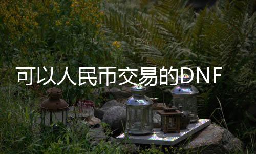 可以人民币交易的DNF发布网（dnf可以交易金币吗）