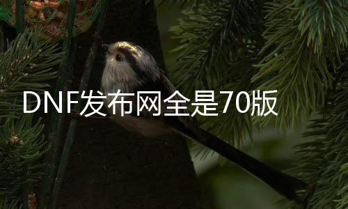 DNF发布网全是70版本