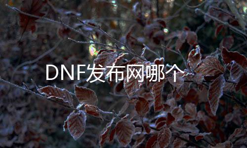 DNF发布网哪个