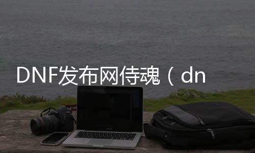 DNF发布网侍魂（dnf侍魂70版本攻略）