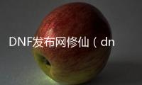 DNF发布网修仙（dnf自修）