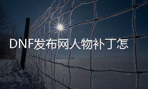 DNF发布网人物补丁怎么用（DNF发布网补丁npc）