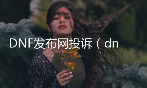 DNF发布网投诉（dnf投诉有用吗）