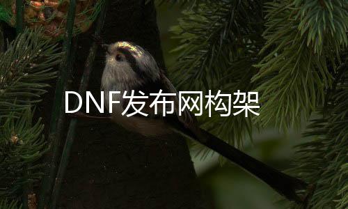 DNF发布网构架