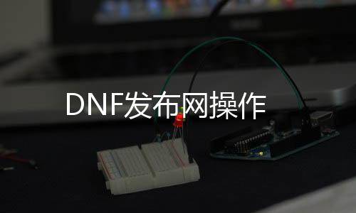 DNF发布网操作