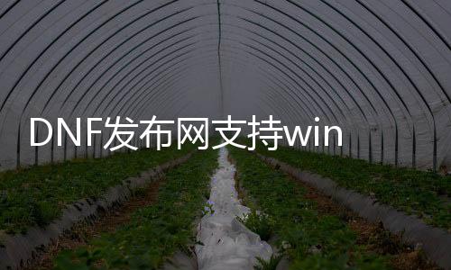 DNF发布网支持win10下载