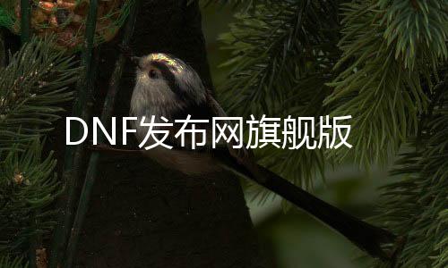 DNF发布网旗舰版