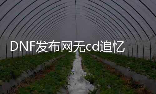 DNF发布网无cd追忆私服（DNF发布网追忆一套多少钱）