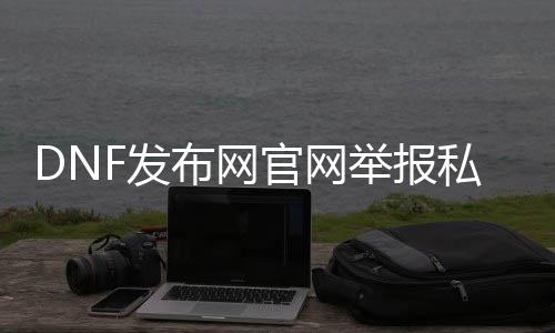 DNF发布网官网举报私服在哪个入口（DNF发布网举报结果在哪看）