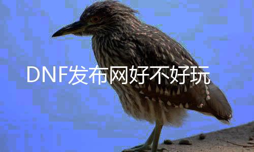 DNF发布网好不好玩