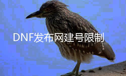 DNF发布网建号限制