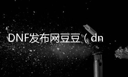 DNF发布网豆豆（dnf豆奶官网）