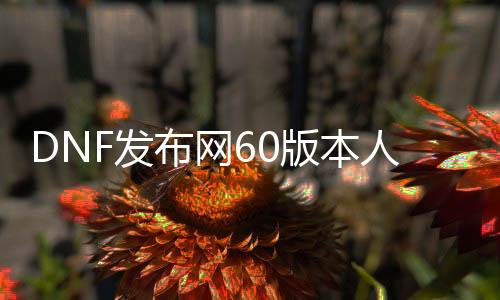 DNF发布网60版本人气最高装备（DNF发布网60版本最值钱的装备）