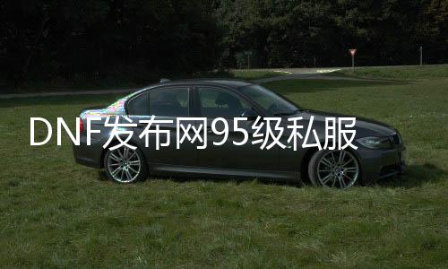 DNF发布网95级私服（DNF发布网与勇士95级搬砖图）