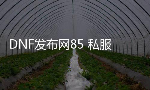 DNF发布网85 私服