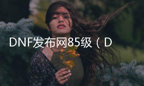 DNF发布网85级（DNF发布网85级版本）