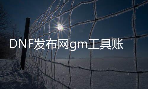 DNF发布网gm工具账号（DNF发布网与勇士gm工具）