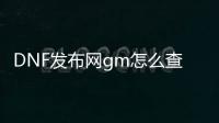 DNF发布网gm怎么查询封号（查询DNF发布网封号记录查询）