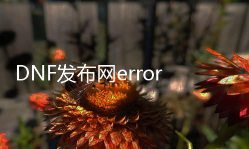 DNF发布网error6846（DNF发布网服务器错误）