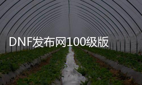 DNF发布网100级版本私服稳定（DNF发布网官网100级）