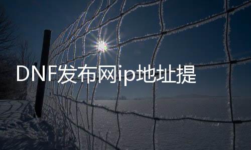 DNF发布网ip地址提取器（DNF发布网检测ip）