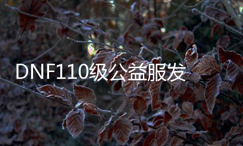 DNF110级公益服发布网哪个好(DNF110级公益服发布网最新开服推荐)