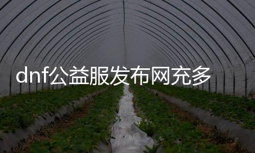 dnf公益服发布网充多少合适（推荐合适的充值金额）