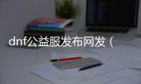 dnf公益服发布网发（最新公益服发布网发布信息）