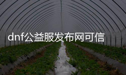 dnf公益服发布网可信不（了解dnf公益服发布网的真实性与可靠性）