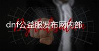 dnf公益服发布网内部游戏排行榜（最新的排行榜信息）