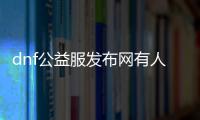 dnf公益服发布网有人玩么（dnf公益服发布网怎么赚钱）