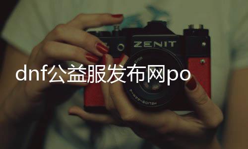 dnf公益服发布网pop辅助（dnf公益服发布网破解泡点）