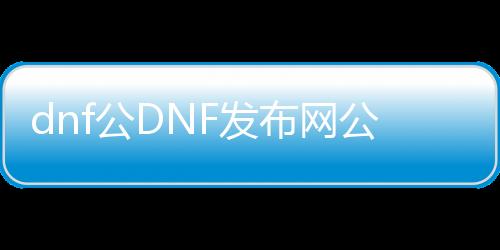 dnf公DNF发布网公益服发布网怎么玩,公益服发布网有哪些福利