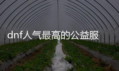 dnf人气最高的公益服发布网（推荐最受欢迎的dnf公益服发布网）