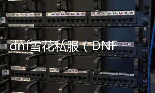 dnf雪花私服（DNF发布网雪花光环）