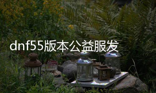 dnf55版本公益服发布网下载安装教程,最新dnf55版本公益服发布网开放时间