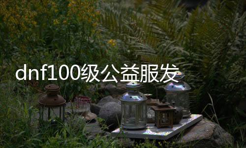 dnf100级公益服发布网哪个最好,最受欢迎的dnf100级公益服发布网推荐