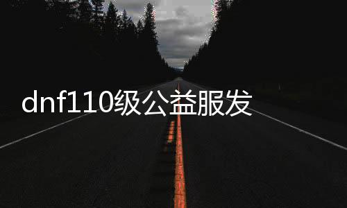 dnf110级公益服发布网新开，带你畅玩无限乐趣