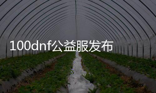 100dnf公益服发布网（dnf公益服发布网服务器在哪买）