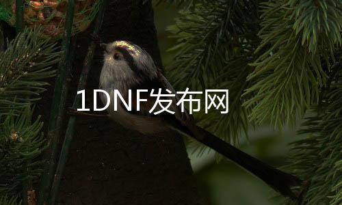 1DNF发布网